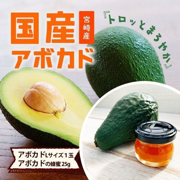 【5セット限定】横山果樹園の「国産アボカドLサイズとアボカドの蜂蜜のセット」