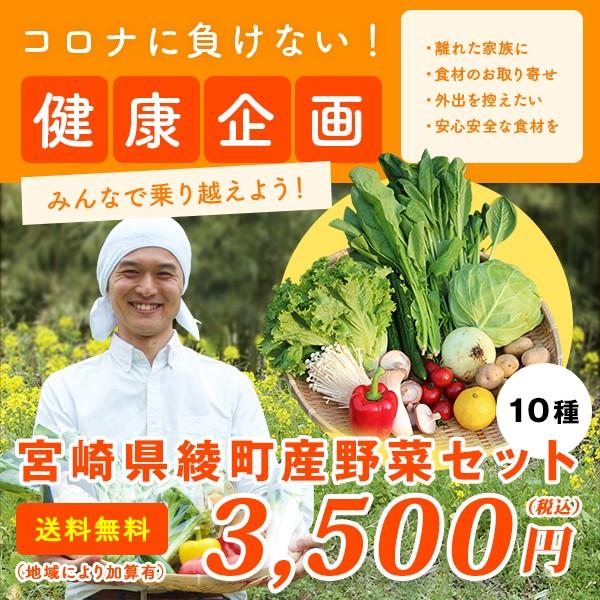 綾町野菜セット １回便　10種類　送料無料