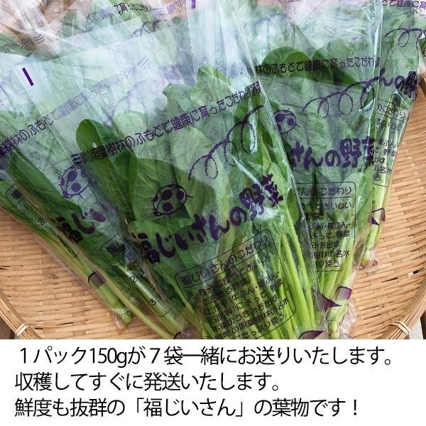 福じいさんの野菜【ほうれん草】宮崎県綾町産ほうれん草 150g＊7袋