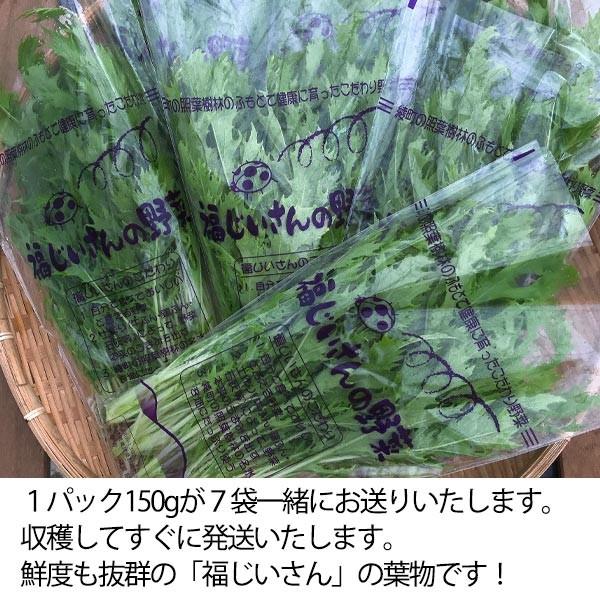 福じいさんの野菜【水菜】宮崎県綾町産水菜 150g＊7袋