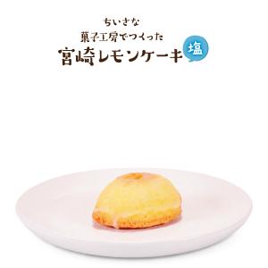 【ひなたフェス2026】【お土産】宮崎レモンケ...の詳細画像2