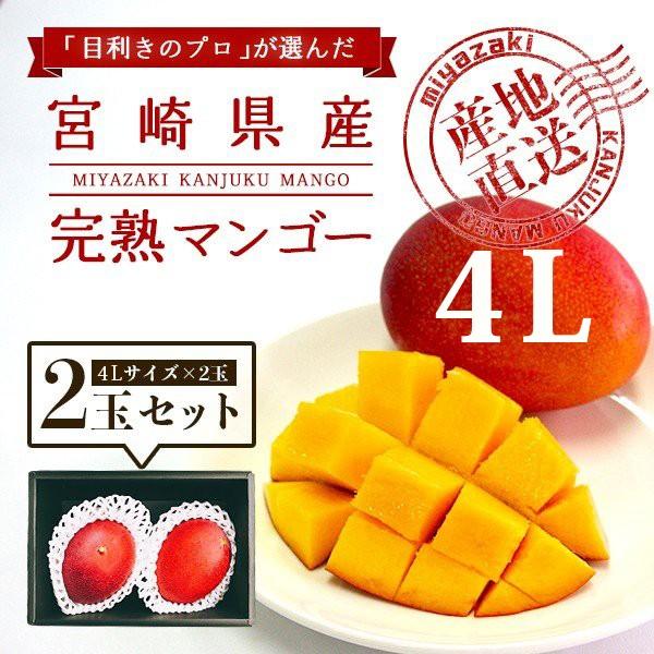宮崎完熟マンゴー 2個セット 4Lサイズ ギフト プレゼント 贈答品 母の日、父の日