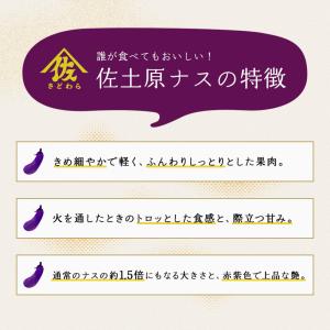 宮崎県特産品【佐土原茄子】佐土原茄子10本の詳細画像1