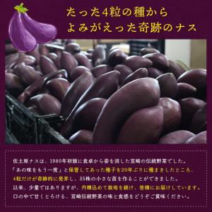 宮崎県特産品【佐土原茄子】佐土原茄子10本の詳細画像2