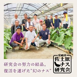 宮崎県特産品【佐土原茄子】佐土原茄子10本の詳細画像3