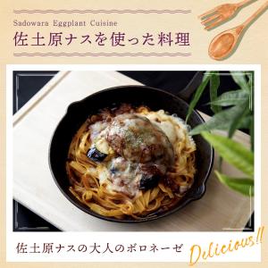 宮崎県特産品【佐土原茄子】佐土原茄子10本の詳細画像5