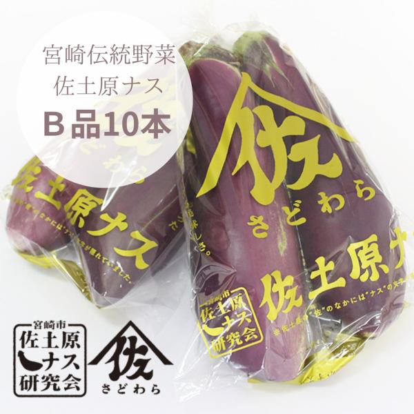 宮崎県特産品【佐土原茄子】佐土原茄子B品１０本