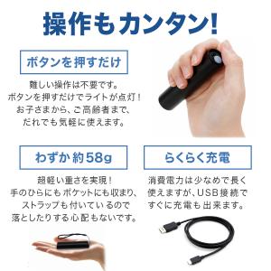 充電式 アニサキスライト ブラックライト 刺身...の詳細画像3