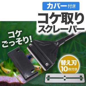 カバー付き コケ取り スクレーパー プロレイザー 42cm 替え刃 10枚付 アクアリウム 水草 苔 水槽 掃除 クリーナー 苔取り シェーバー コケ ステンレス製｜YAOSTORE