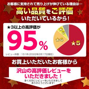 ニンテンドー 3DS 充電器 ACアダプター ...の詳細画像1