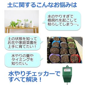 水やりチェッカー 観葉植物 土 水分感知器 植...の詳細画像2