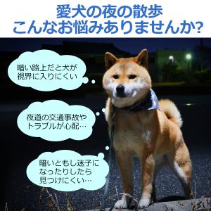 光る首輪 ペット LED首輪 散歩 犬 おしゃ...の詳細画像1