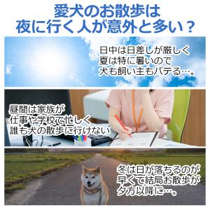 光る首輪 ペット LED首輪 散歩 犬 おしゃ...の詳細画像2