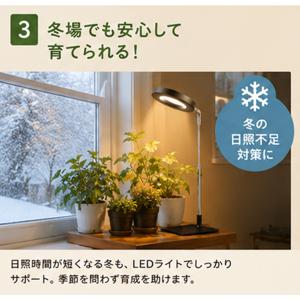 植物育成ライト LED 植物ライト 観葉植物育...の詳細画像5