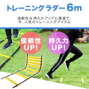 ラダー トレーニング マーカーコーン 10個 ...の詳細画像1