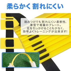 ラダー トレーニング マーカーコーン 10個 ...の詳細画像2