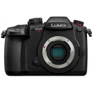 LUMIX Gシリーズ パナソニック G99II レンズキット DC-G99M2H