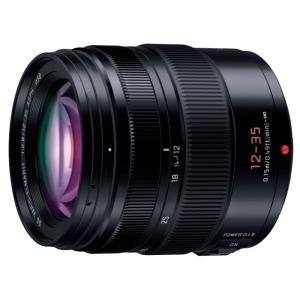 パナソニック Panasonic カメラレンズ LEICA DG VARIO-ELMARIT 12-35mm