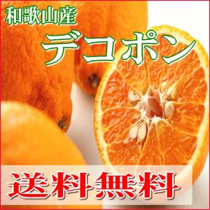 デコポン（不知火）１２〜15個 送料無料 和歌山産　濃厚ジューシーしらぬい　