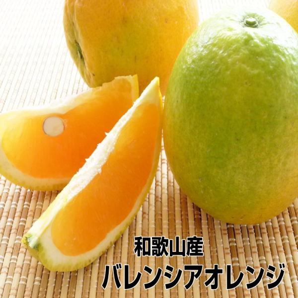 バレンシアオレンジ 2L/3Lサイズ 7kg めずらしい国産オレンジ 和歌山産 送料無料