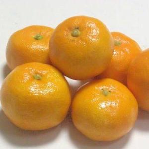 ハウスみかん 8個入り×4パック 和歌山の夏の高糖度みかん 送料無料