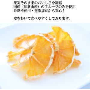 国産 ドライフルーツ 無添加 砂糖不使用 20...の詳細画像1