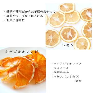 国産 ドライフルーツ 無添加 砂糖不使用 20...の詳細画像3