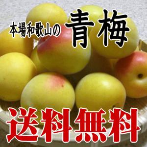 完熟青梅（南高梅）Lサイズ 3kg 梅干し用 和歌山産 送料無料