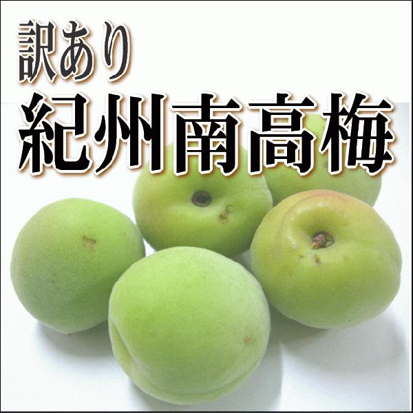 訳あり青梅（南高梅）1kg単位でご注文頂けます 梅酒用/梅干し用 和歌山産 生梅