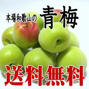 青梅（南高梅）Lサイズ 3kg 梅酒用・梅シロップ用 和歌山産 送料無料 クール代無料｜yaoya-kisyu