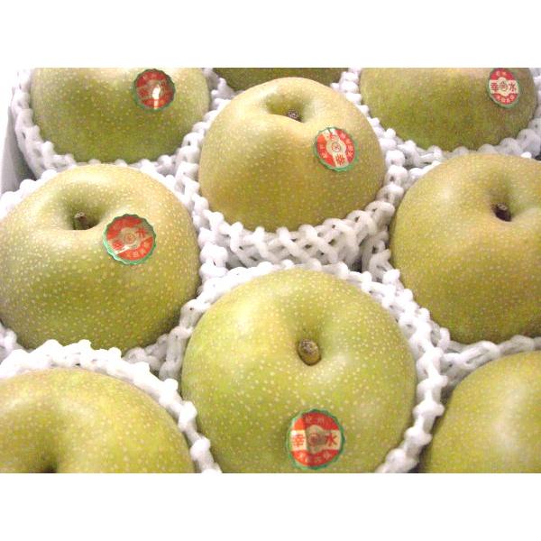 幸水梨 8玉入り 約2.8kg【和歌山産・徳島産・三重産・長野産】送料無料