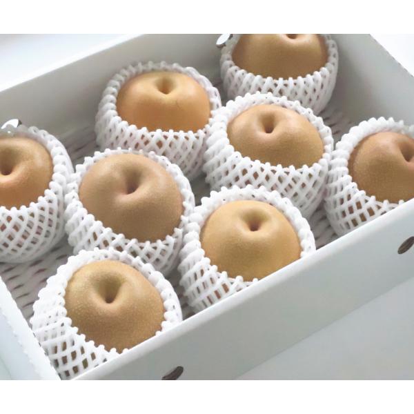 ジューシーで美味しい梨 豊水梨 8玉入り（約2.8kg)【和歌山産・徳島産・三重産・長野産】