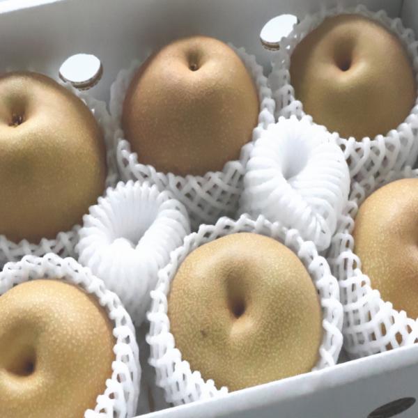 ジューシーで美味しい梨 豊水梨 6玉入り（約2kg）【和歌山産・徳島産・三重産・長野産】