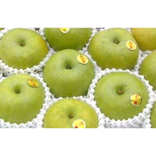 和歌山の珍しい梨です！菊水梨　9〜13玉入り（約4kg）