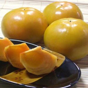 柿の王様 富有柿　Lサイズ 15個 【送料無料】和歌山産　｜yaoya-kisyu