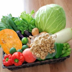 野菜詰め合わせ 旬の新鮮野菜セット 10種以上...の詳細画像1