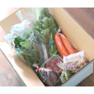 野菜詰め合わせ 旬の新鮮野菜セット 10種以上...の詳細画像2