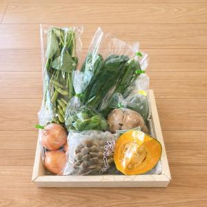 野菜詰め合わせ 旬の新鮮野菜セット 10種以上...の詳細画像3
