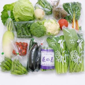 野菜セット 旬の野菜詰め合わせ 13種以上 和...の詳細画像1