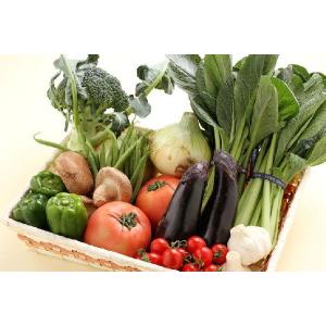 野菜セット 旬の野菜詰め合わせ 13種以上 和...の詳細画像2