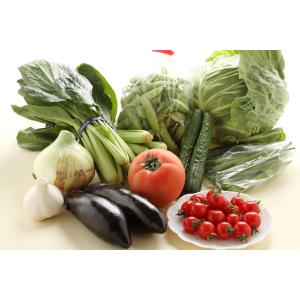 野菜セット 旬の野菜詰め合わせ 13種以上 和...の詳細画像2