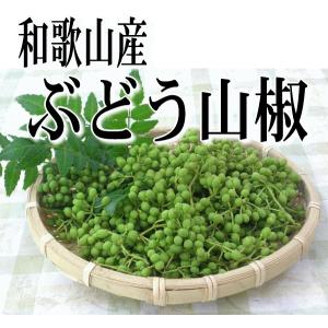 山椒の実（生）500g 和歌山産  実山椒 ぶどう山椒/朝倉山椒