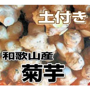 送料無料 和歌山産 菊芋（キクイモ）生 3kg テレビで話題のスーパーフード｜yaoya-kisyu