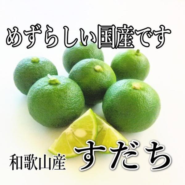 国産 すだち 1kg【ノーワックス・防腐剤不使用】少し訳あり/和歌山産・徳島産