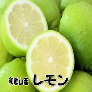 国産（和歌山県産）レモン/グリーンレモン 1kg 訳あり ノーワックス