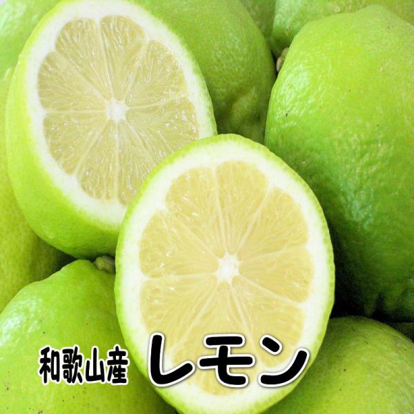 国産（和歌山県産）レモン/グリーンレモン 1kg 訳あり ノーワックス