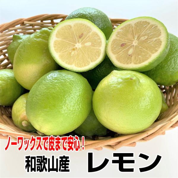 国産（和歌山県産）レモン/グリーンレモン 秀品 1kg ノーワックス