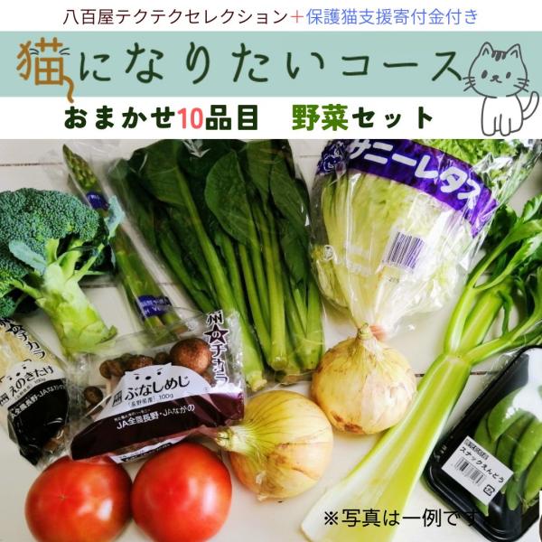 野菜セット 猫になりたいコース 保護猫支援 寄付金 10品目 旬の野菜詰め合せ 新鮮 産直 クール便...