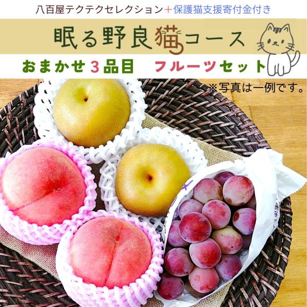フルーツセット 眠る野良猫コース 保護猫支援 寄付金  旬の果物詰め合せ 新鮮 クール便 本州・四国...