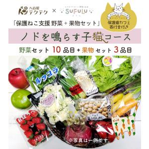 保護猫支援セット ノドを鳴らす子猫コース 野菜10品目+果物3品目+ねこグッズ 新鮮 直送 クール便 本州・四国は送料無料 商品説明書同封